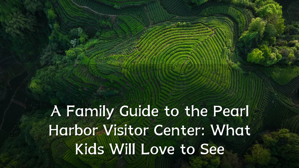 A Family Guide to the Pearl Harbor Visitor Center: What Kids Will Love to See