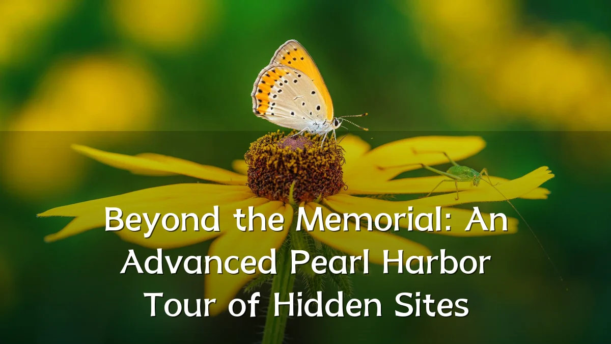 Beyond the Memorial: An Advanced Pearl Harbor Tour of Hidden Sites