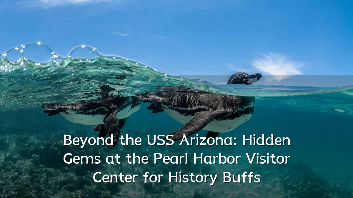 Beyond the USS Arizona: Hidden Gems at the Pearl Harbor Visitor Center for History Buffs