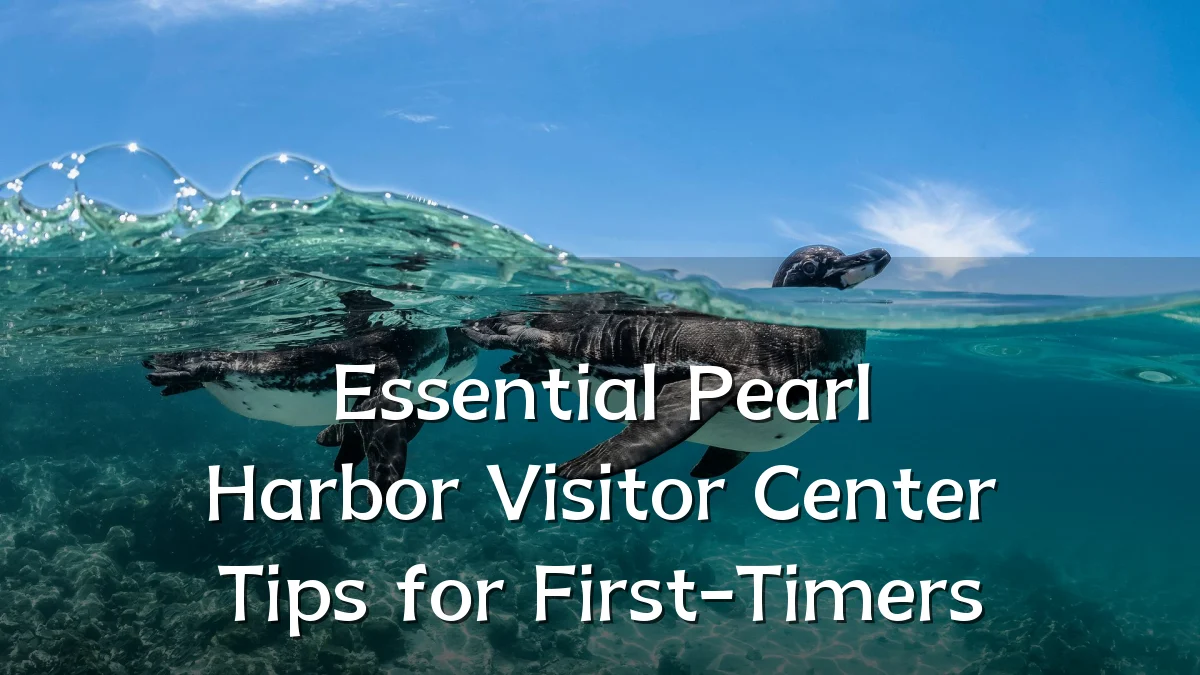 Essential Pearl Harbor Visitor Center Tips for First-Timers