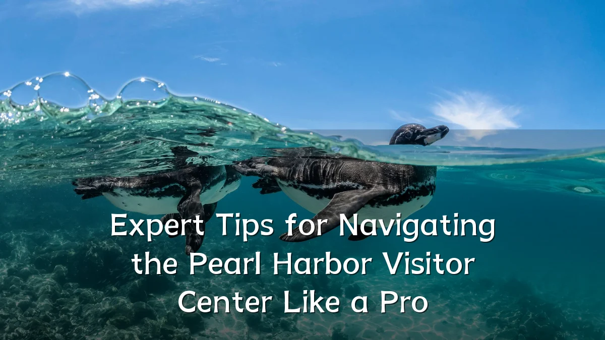 Expert Tips for Navigating the Pearl Harbor Visitor Center Like a Pro