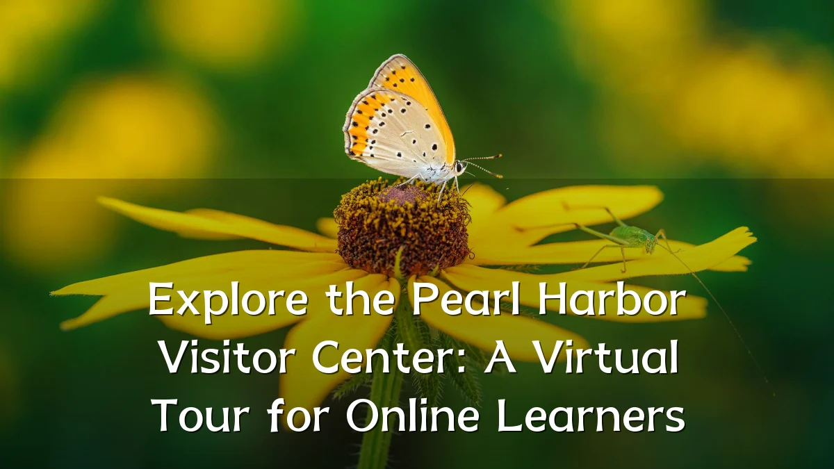 Explore the Pearl Harbor Visitor Center: A Virtual Tour for Online Learners