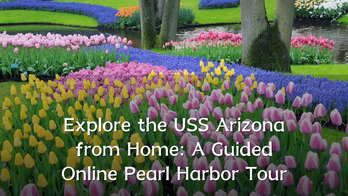 Explore the USS Arizona from Home: A Guided Online Pearl Harbor Tour