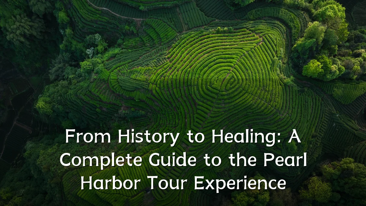 From History to Healing: A Complete Guide to the Pearl Harbor Tour Experience