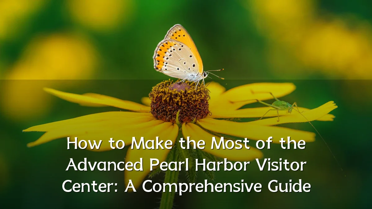 How to Make the Most of the Advanced Pearl Harbor Visitor Center: A Comprehensive Guide