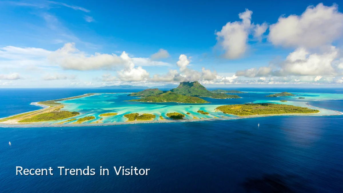 Recent Trends in Visitor