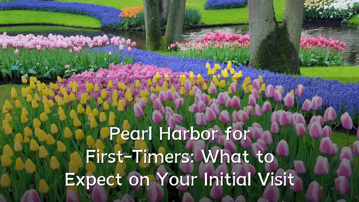 Pearl Harbor for First-Timers: What to Expect on Your Initial Visit
