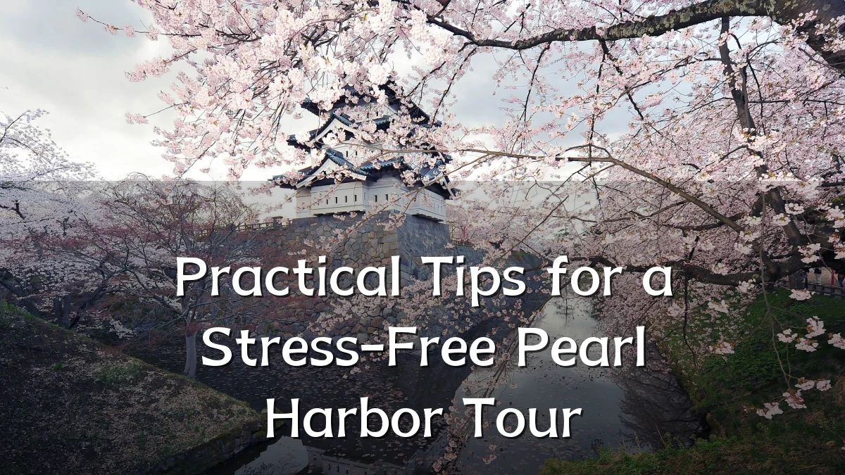 Practical Tips for a Stress-Free Pearl Harbor Tour