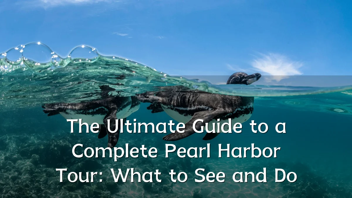 The Ultimate Guide to a Complete Pearl Harbor Tour: What to See and Do