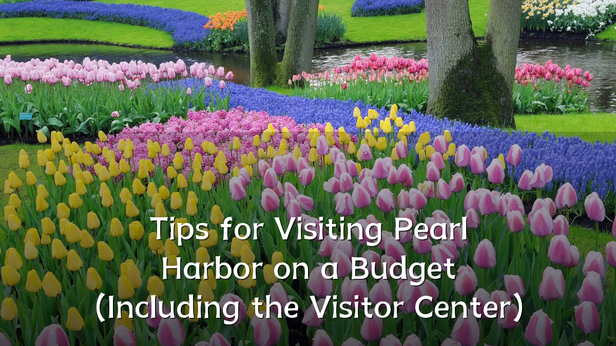 Tips for Visiting Pearl Harbor on a Budget (Including the Visitor Center)