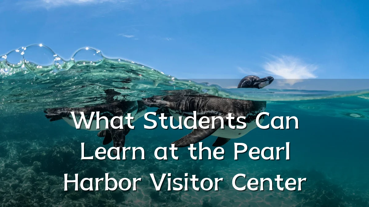 What Students Can Learn at the Pearl Harbor Visitor Center