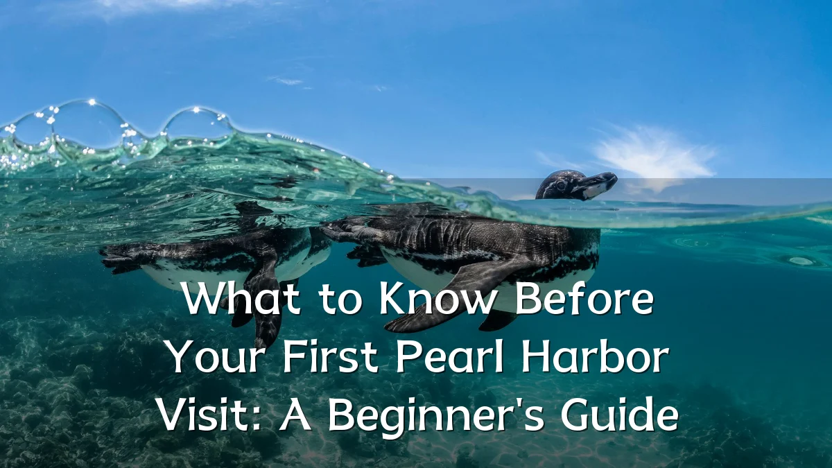 What to Know Before Your First Pearl Harbor Visit: A Beginner's Guide