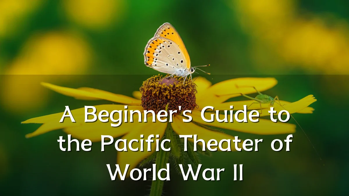 A Beginner's Guide to the Pacific Theater of World War II
