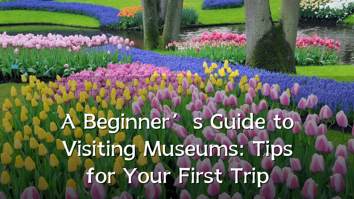 A Beginner’s Guide to Visiting Museums: Tips for Your First Trip