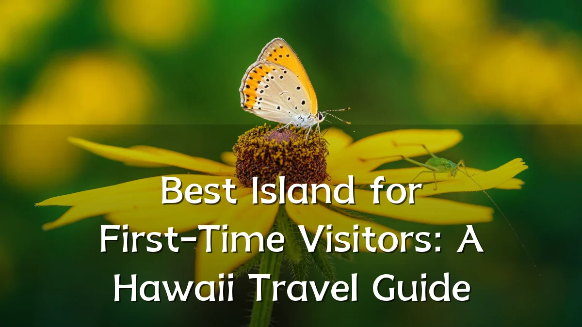 Best Island for First-Time Visitors: A Hawaii Travel Guide