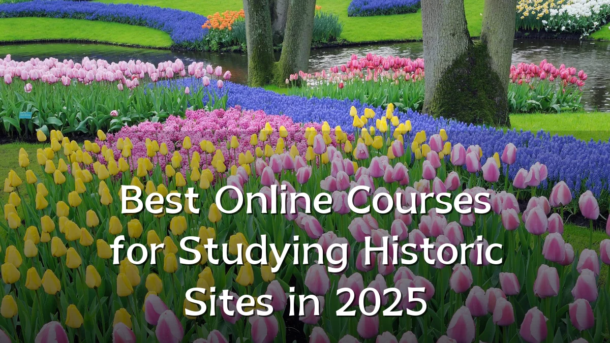 Best Online Courses for Studying Historic Sites in 2025