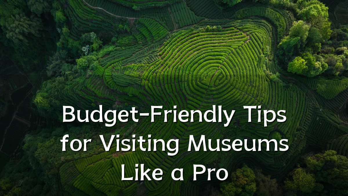 Budget-Friendly Tips for Visiting Museums Like a Pro