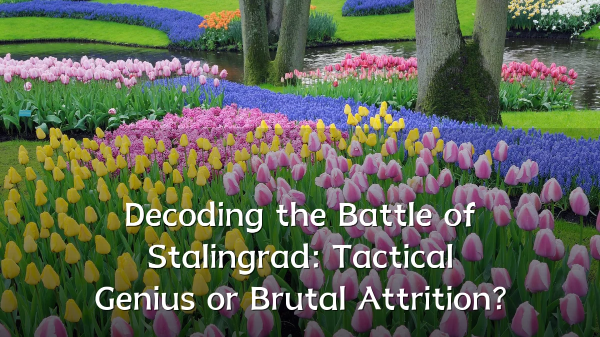 Decoding the Battle of Stalingrad: Tactical Genius or Brutal Attrition?