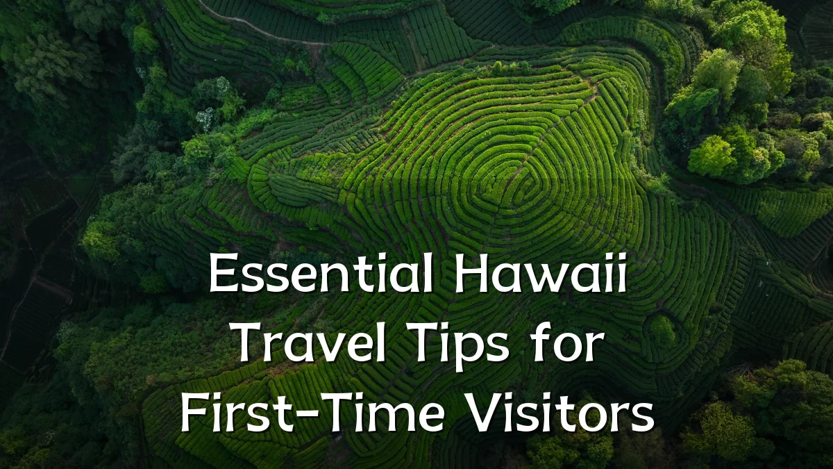 Essential Hawaii Travel Tips for First-Time Visitors