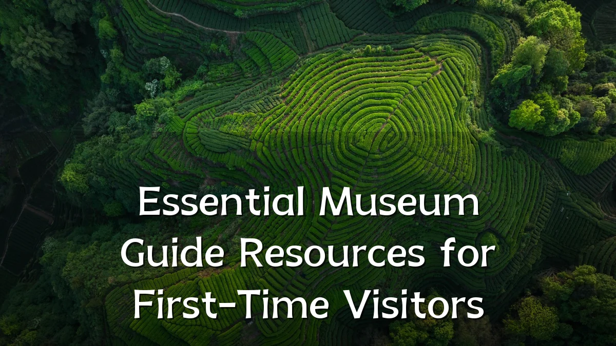 Essential Museum Guide Resources for First-Time Visitors