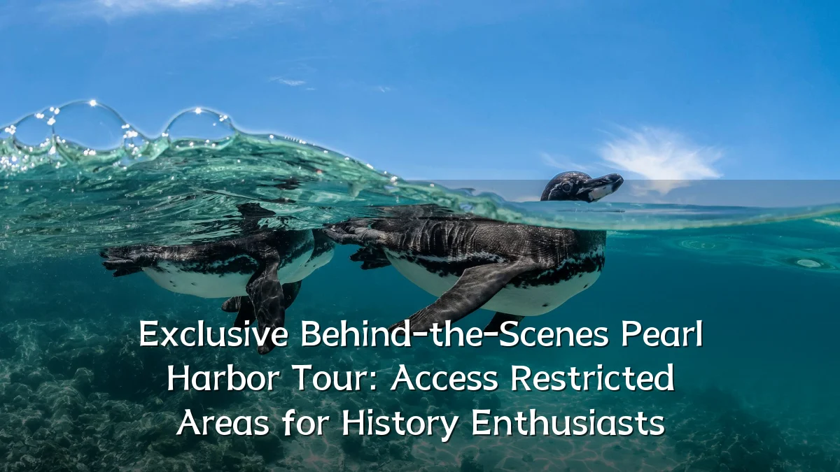 Exclusive Behind-the-Scenes Pearl Harbor Tour: Access Restricted Areas for History Enthusiasts