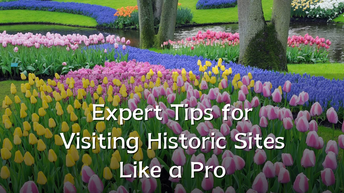 Expert Tips for Visiting Historic Sites Like a Pro