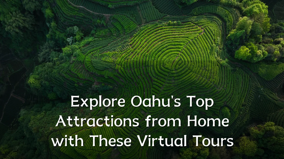 Explore Oahu's Top Attractions from Home with These Virtual Tours