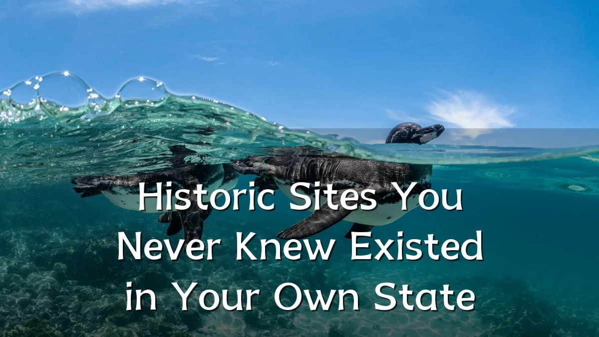Historic Sites You Never Knew Existed in Your Own State