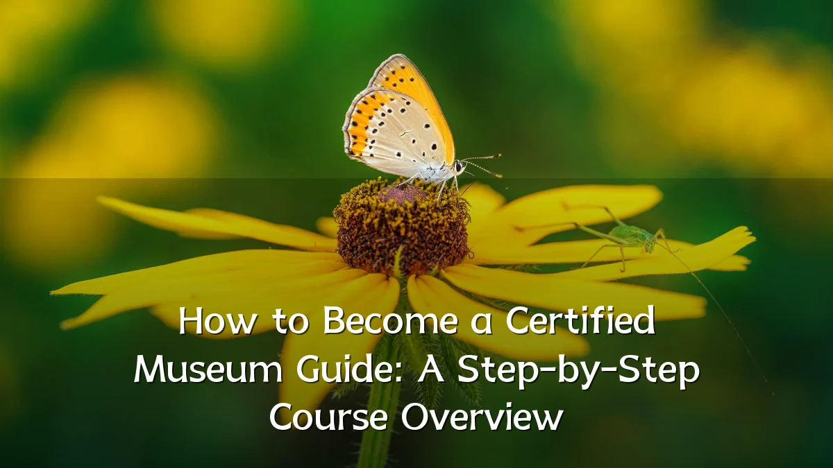 How to Become a Certified Museum Guide: A Step-by-Step Course Overview