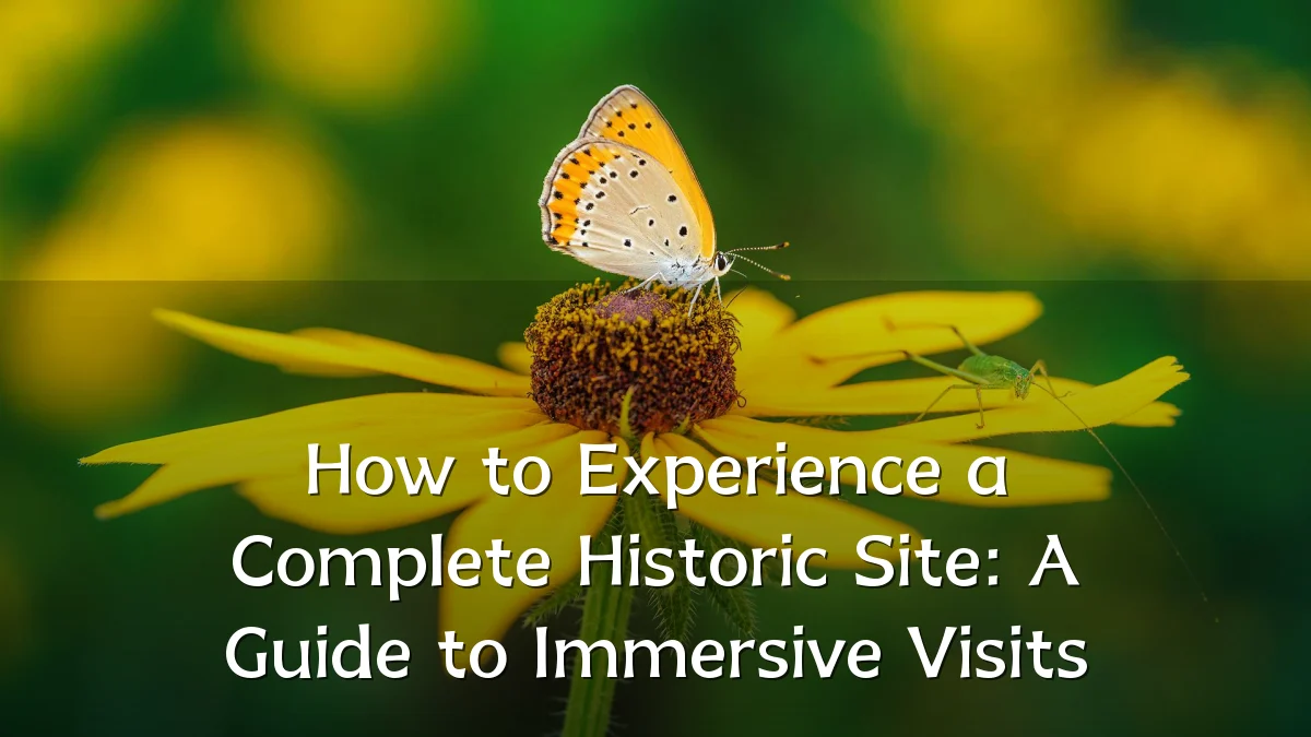 How to Experience a Complete Historic Site: A Guide to Immersive Visits
