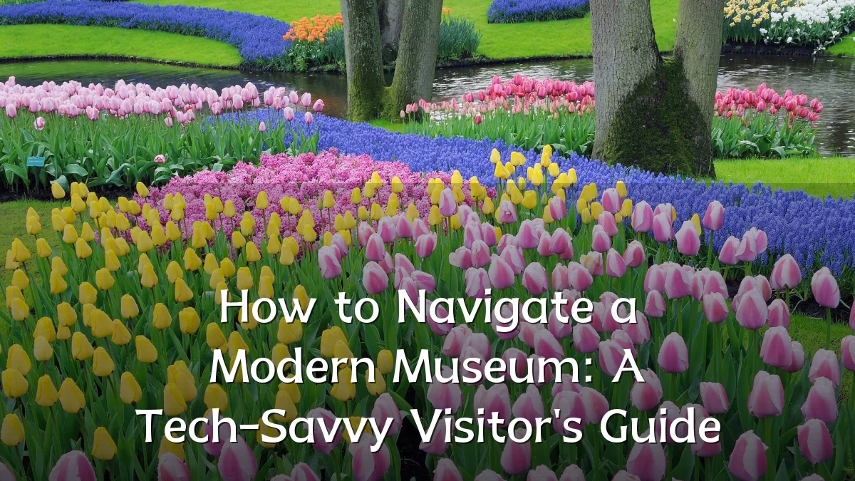 How to Navigate a Modern Museum: A Tech-Savvy Visitor's Guide