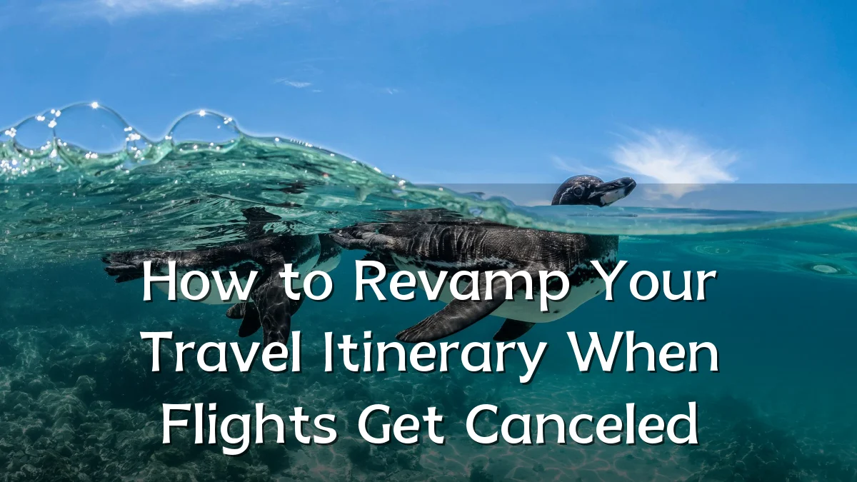 How to Revamp Your Travel Itinerary When Flights Get Canceled