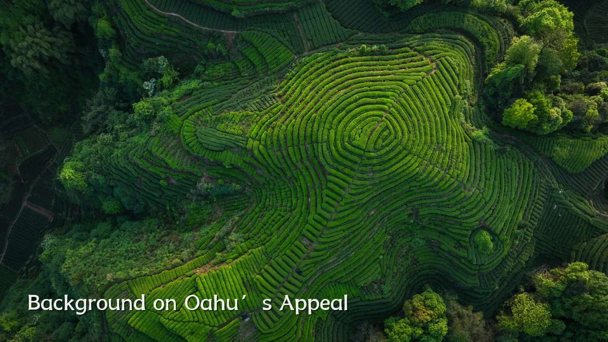 Background on Oahu’s Appeal