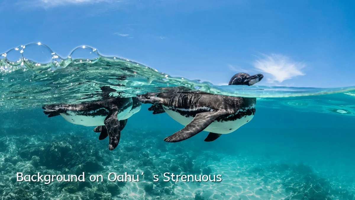 Background on Oahu’s Strenuous