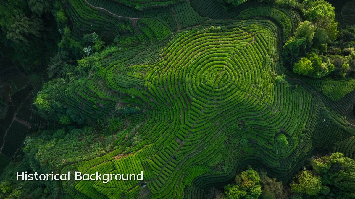 Historical Background