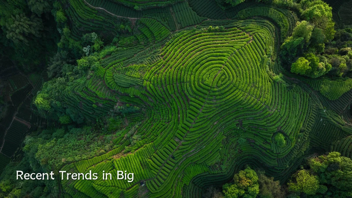 Recent Trends in Big