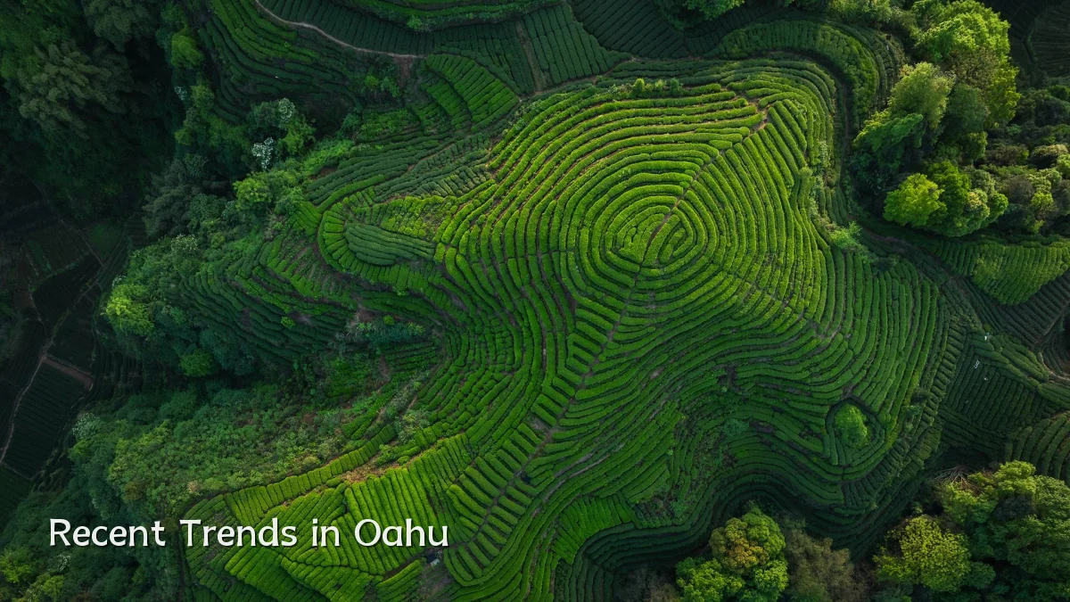 Recent Trends in Oahu