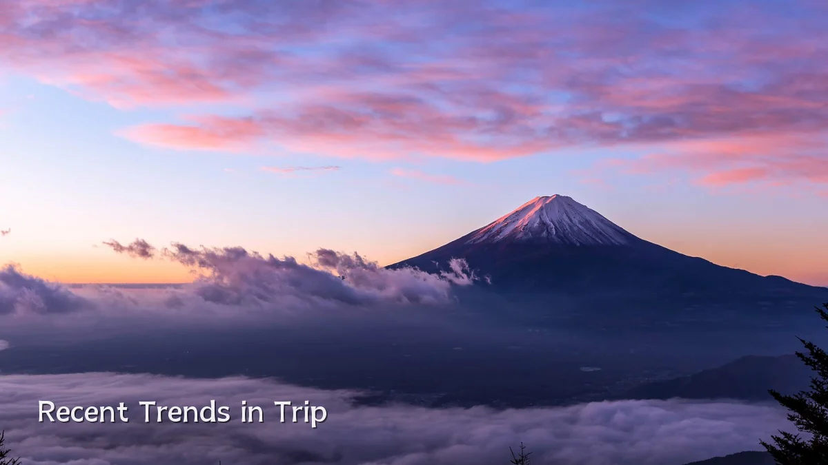 Recent Trends in Trip