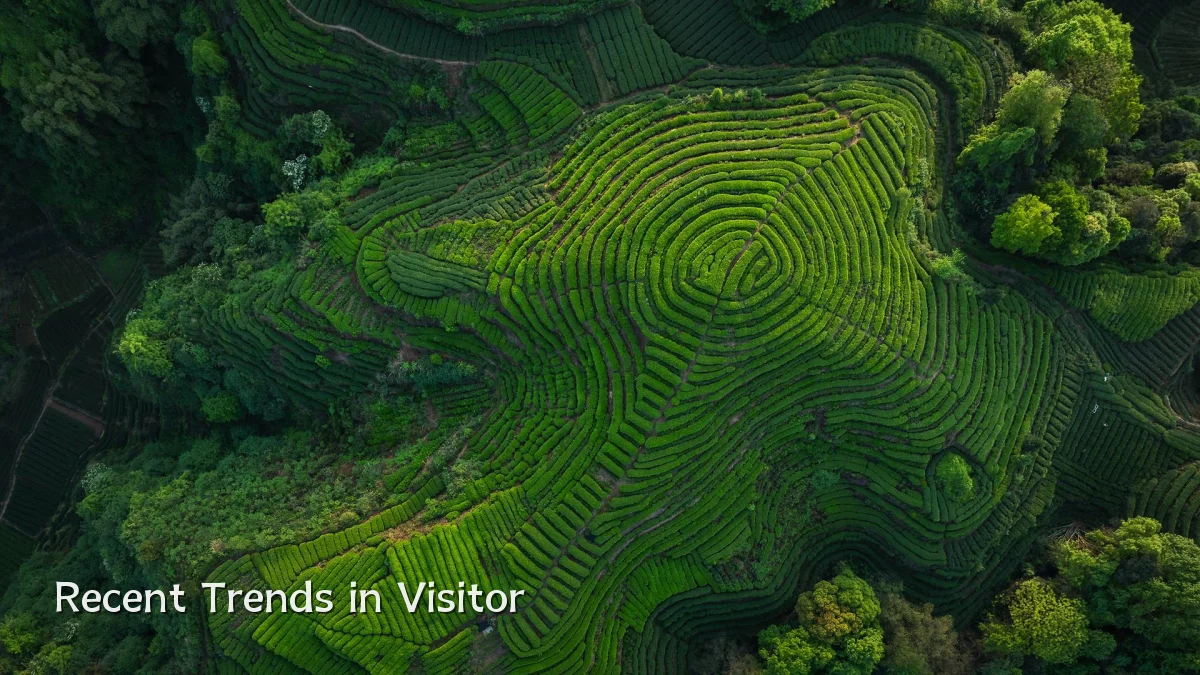 Recent Trends in Visitor