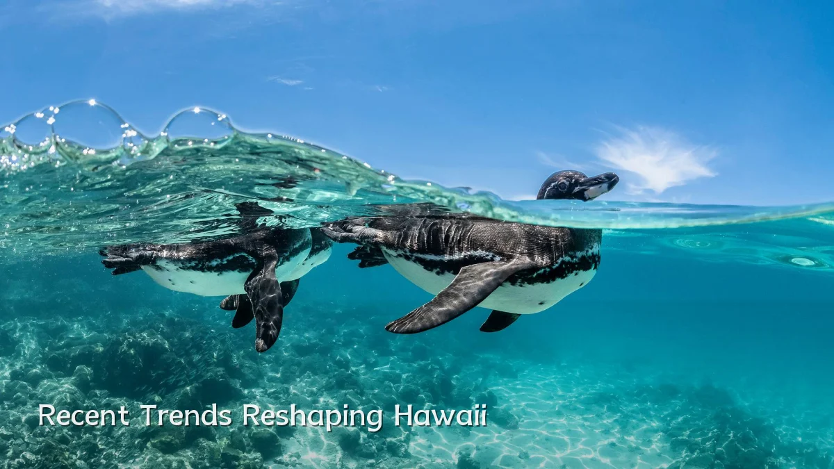 Recent Trends Reshaping Hawaii