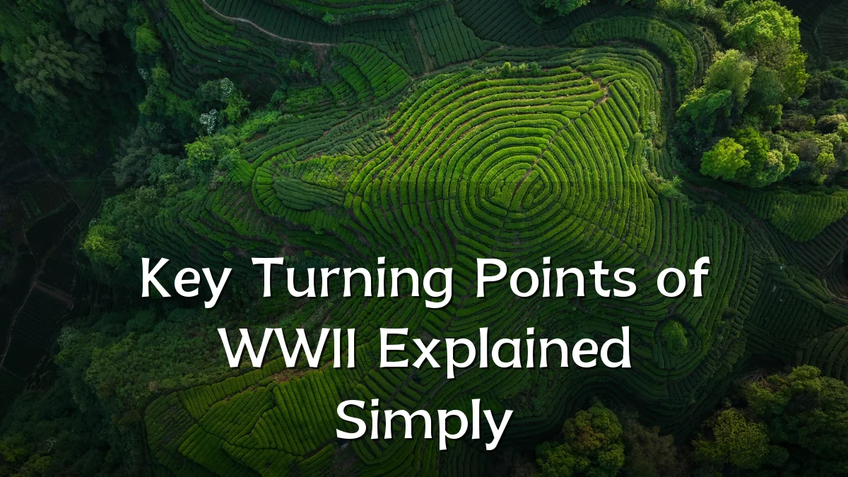 Key Turning Points of WWII Explained Simply