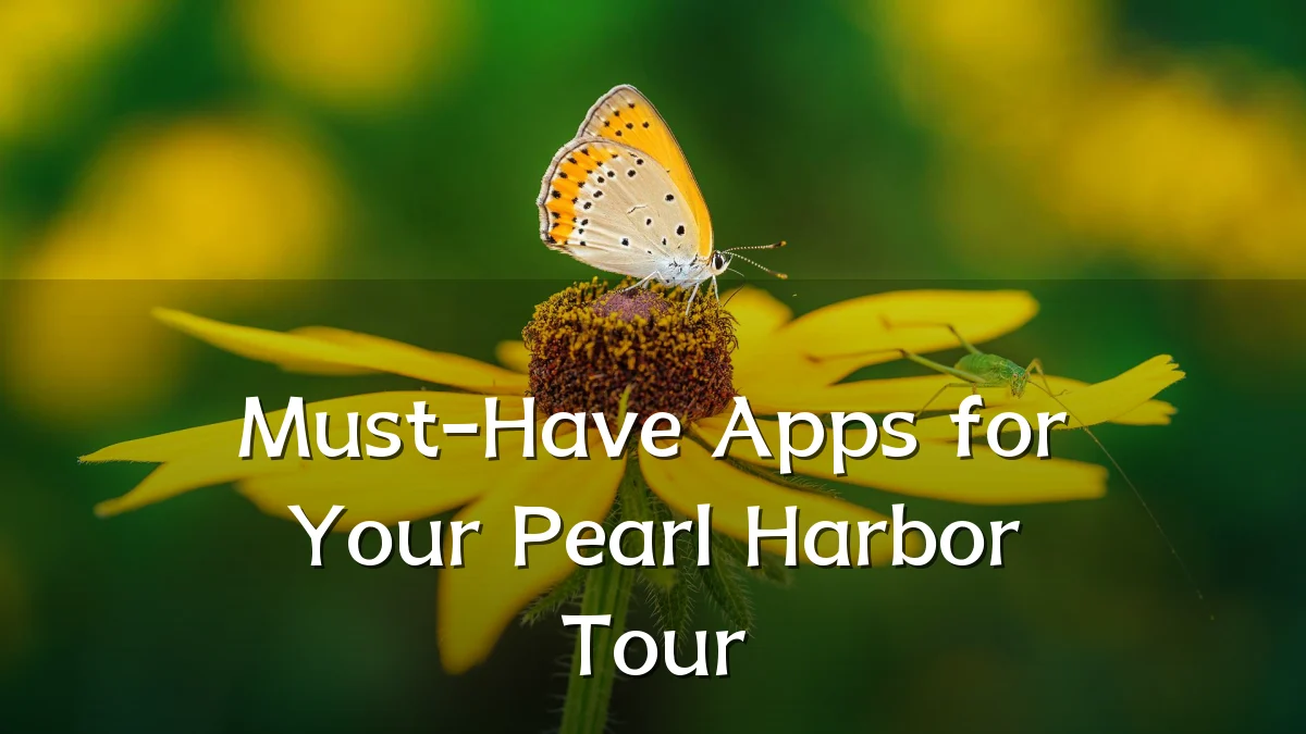 Must-Have Apps for Your Pearl Harbor Tour
