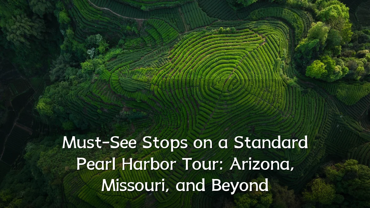 Must-See Stops on a Standard Pearl Harbor Tour: Arizona, Missouri, and Beyond