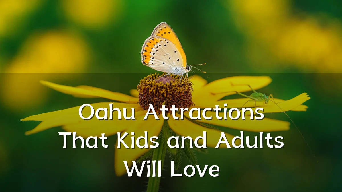 Oahu Attractions That Kids and Adults Will Love