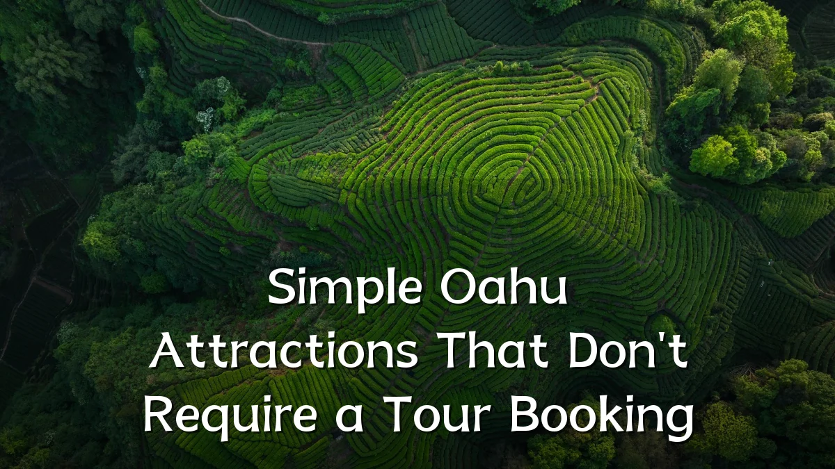 Simple Oahu Attractions That Don't Require a Tour Booking