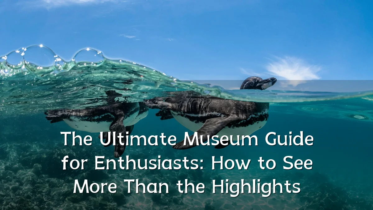 The Ultimate Museum Guide for Enthusiasts: How to See More Than the Highlights