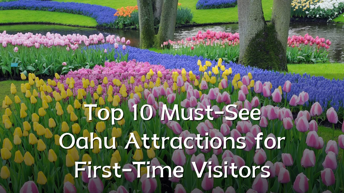 Top 10 Must-See Oahu Attractions for First-Time Visitors