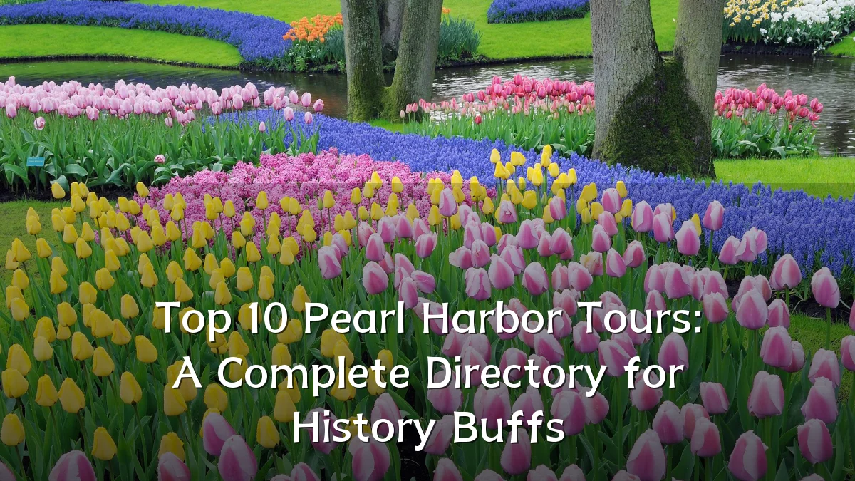 Top 10 Pearl Harbor Tours: A Complete Directory for History Buffs