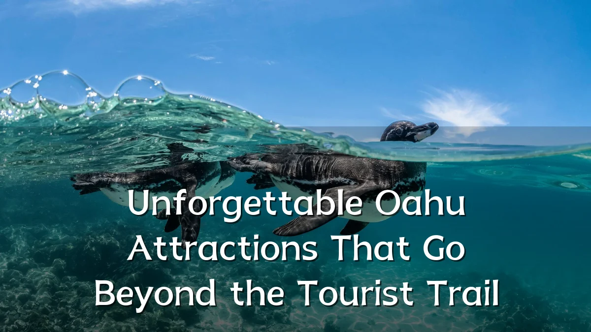 Unforgettable Oahu Attractions That Go Beyond the Tourist Trail