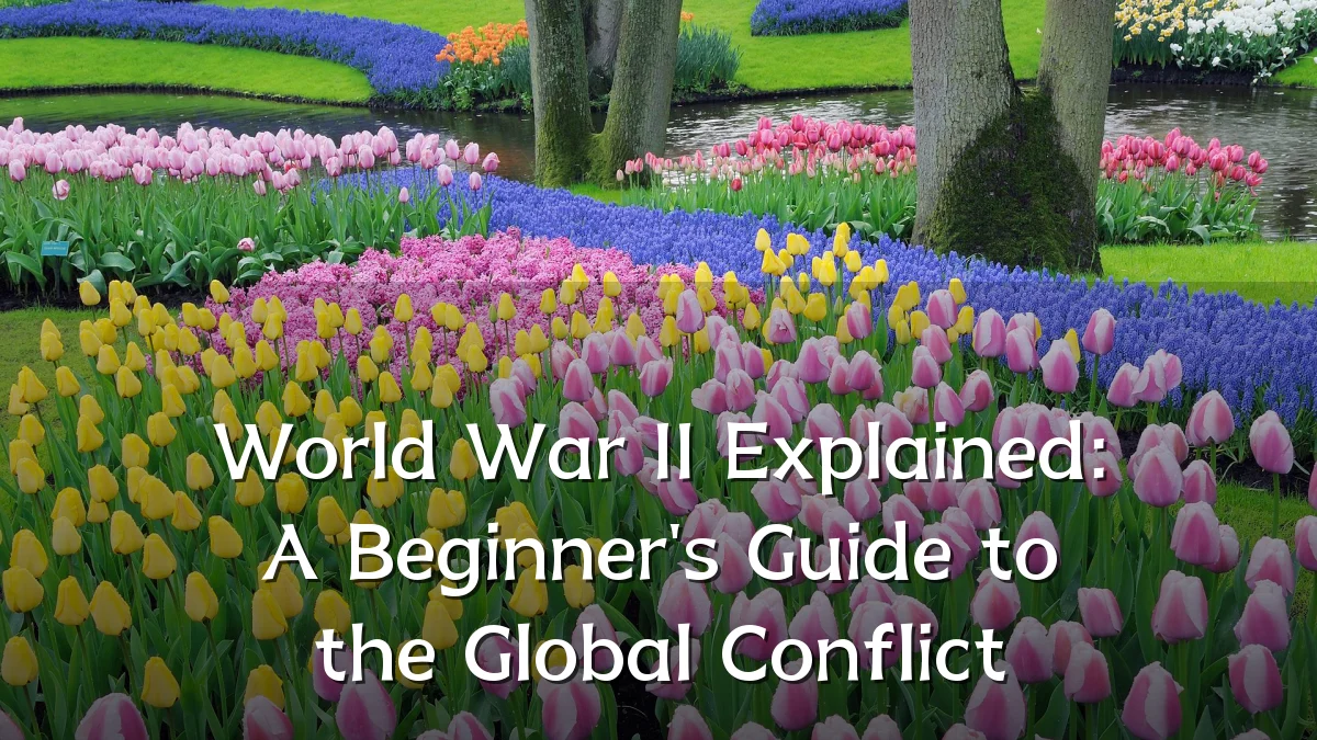 World War II Explained: A Beginner's Guide to the Global Conflict